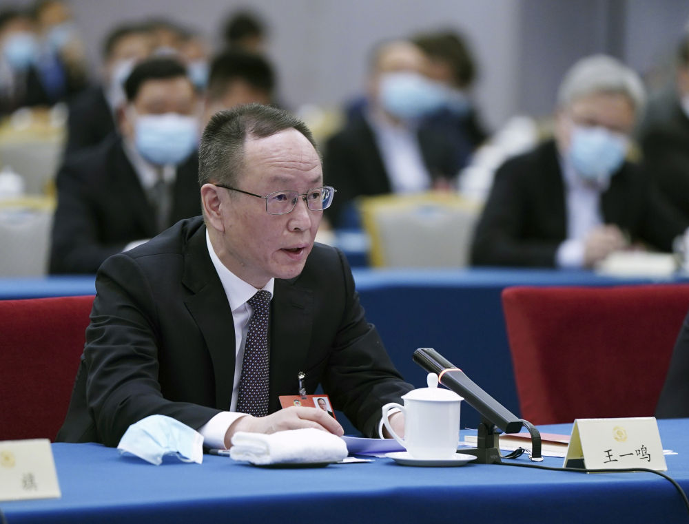 5月23日，全國政協(xié)委員王一鳴在經(jīng)濟界聯(lián)組會上發(fā)言。新華社記者　謝環(huán)馳　攝